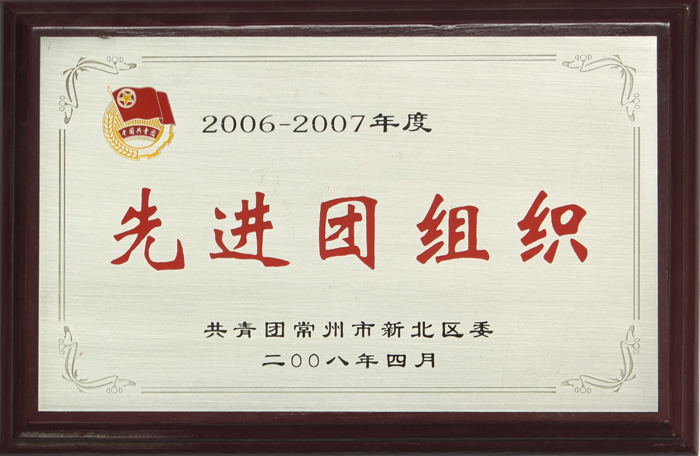 先進團組織