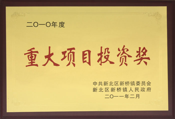 重大項目投資獎