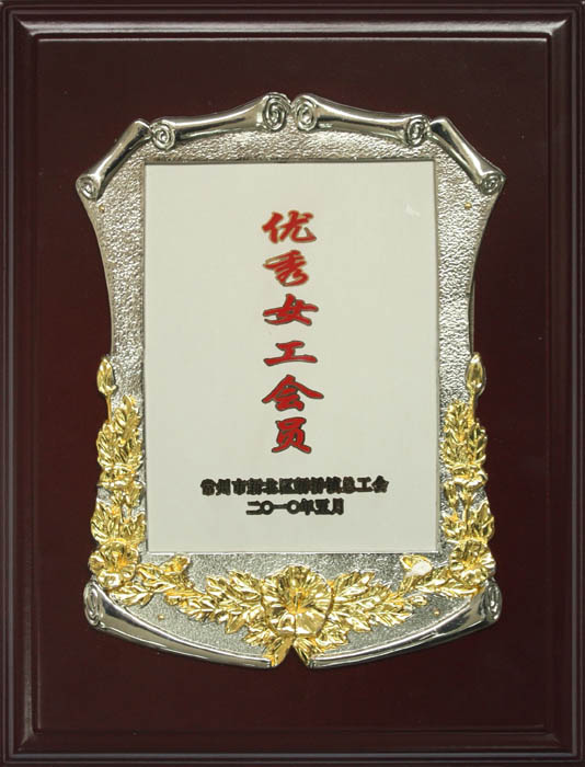 優(yōu)秀女工會員