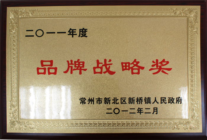 年度品牌戰(zhàn)略獎(jiǎng)